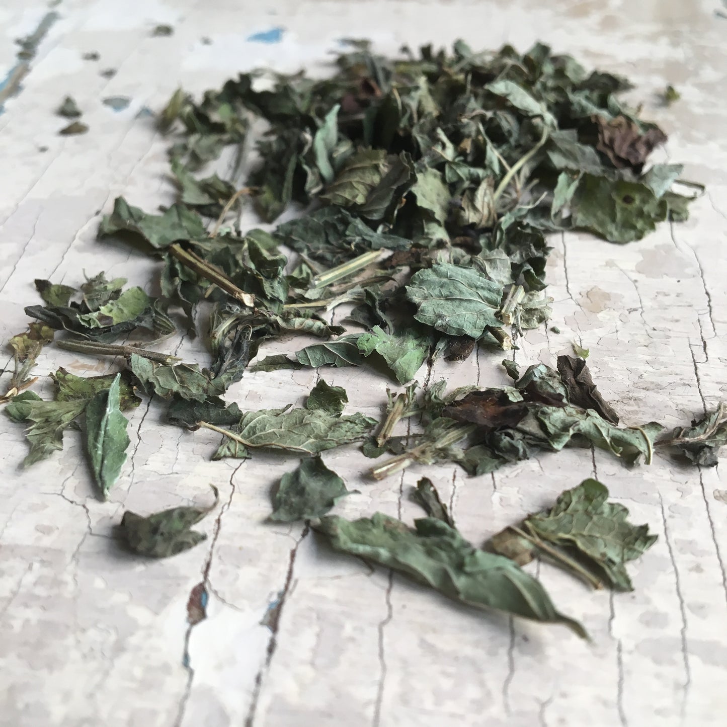 Menta piperita - 30 g