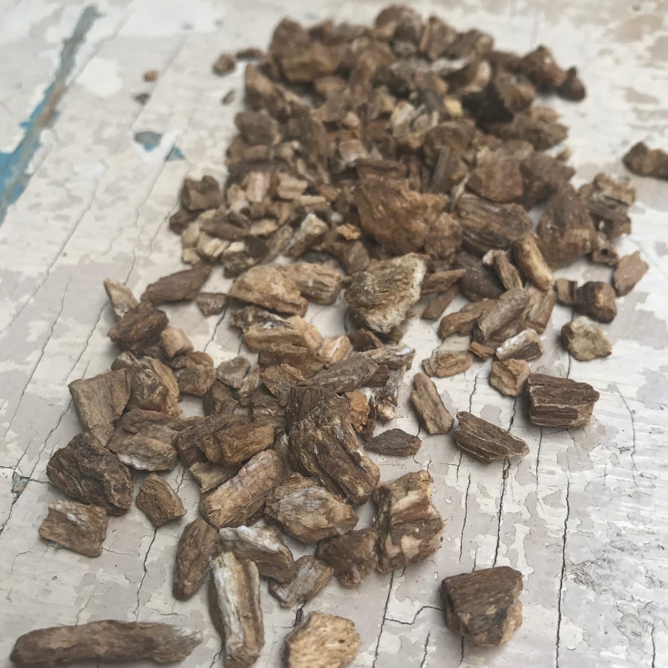 Radice di rabarbaro - 30 g