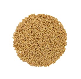 Praesentium Voluptatum